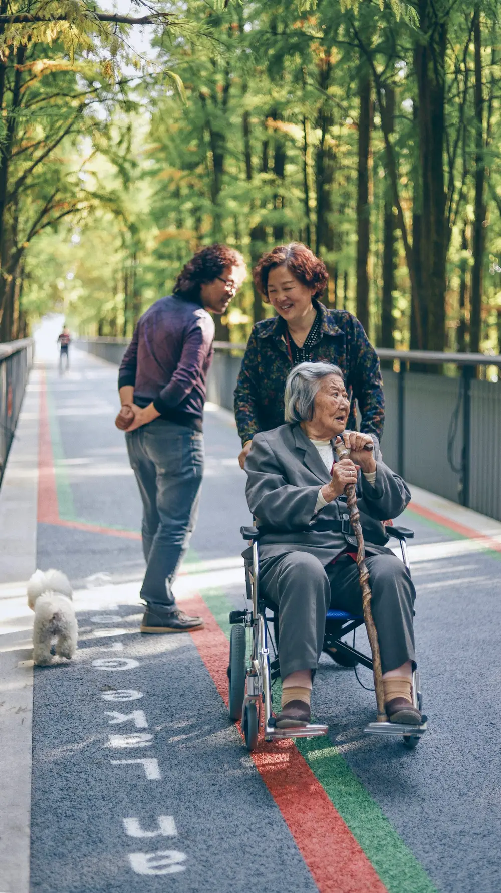 Familia acompañando a una persona mayor en silla de ruedas al aire libre